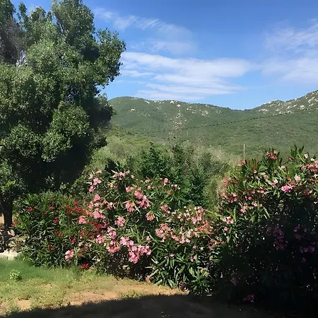 Aja Puzzuta Casa vacanze *