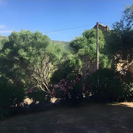 Aja Puzzuta Coti-Chiavari (Corsica)